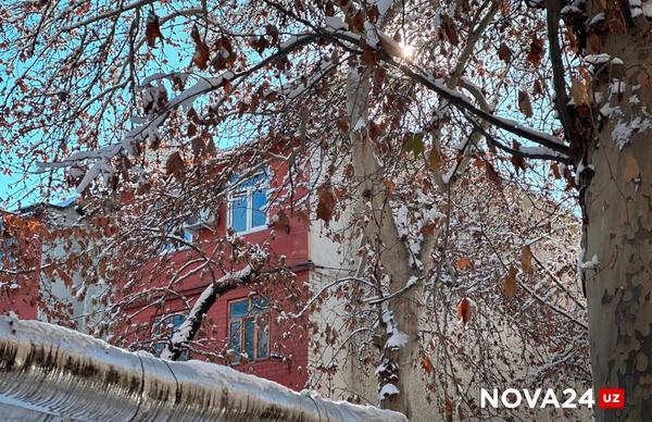 O'zbekistonliklarni qorli yomg'ir kutmoqda: 20 dekabr uchun ob-havo ma'lumotlari.